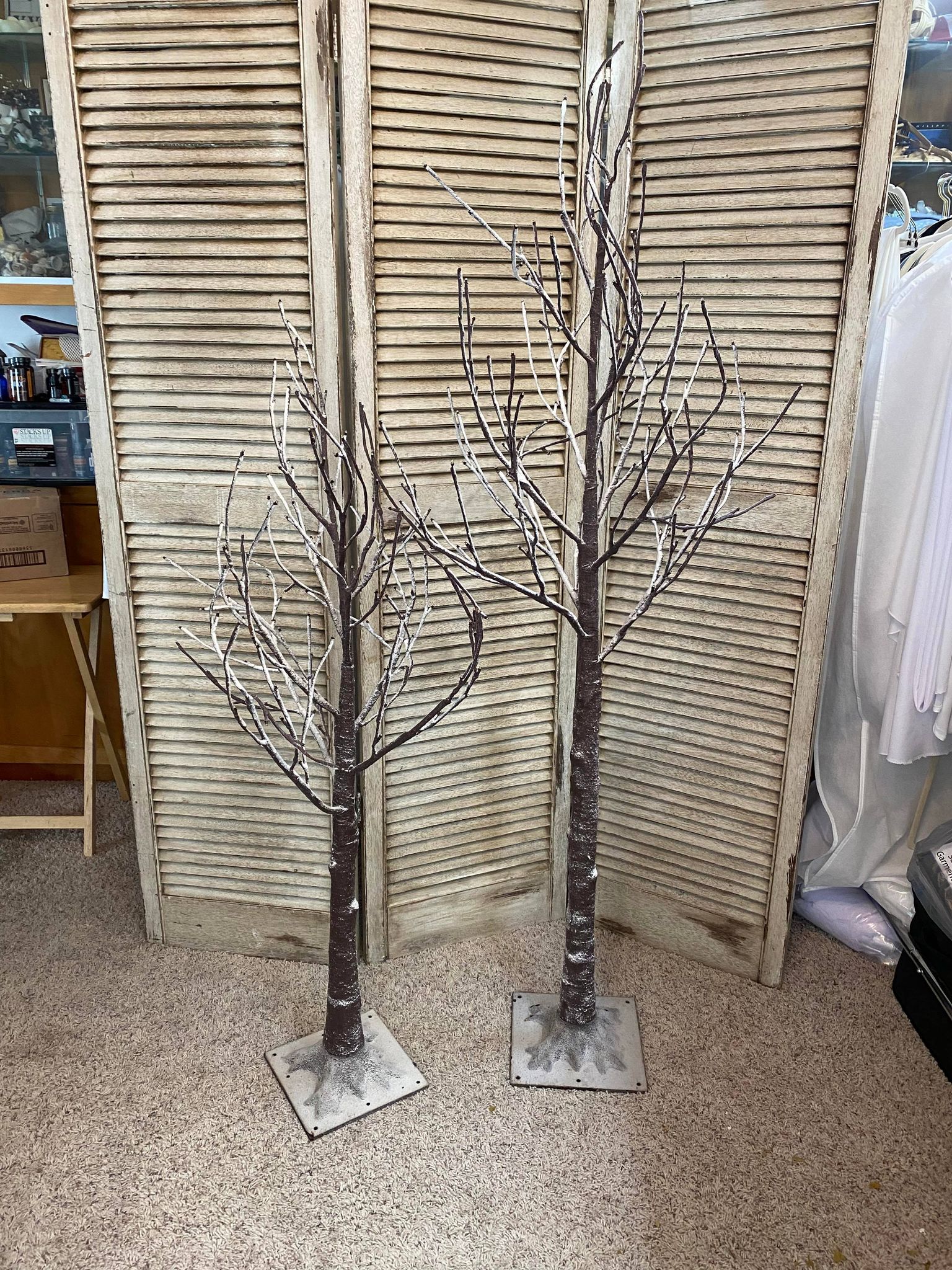 Birch Trees- Unlit - Rigby Wedding Rentals